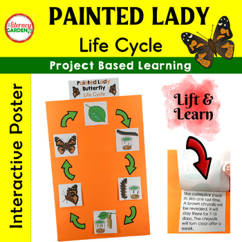 Preview of Painted Lady Butterfly Life Cycle of Insects Science Unit 2nd - 4th Grade TEKS