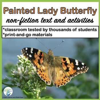 Preview of Painted Lady Butterfly Nonfiction Text and Activities