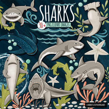 Shark ClipArt | Ocean Animals | Nautical | Under the sea by ...