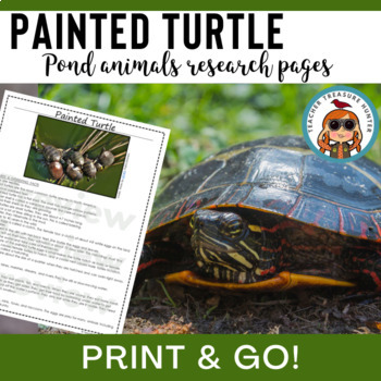 Preview of Painted Turtle for pond wetlands animal research report and nonfiction reading