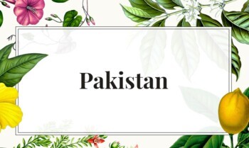 Preview of Pakistan - Country Project Presentation