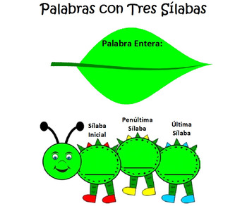 Preview of Palabras con tres silabas grafica 3 syllable word Graphic Organizer