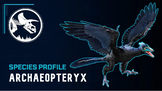 Paleo Profile: Archaeopteryx