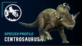 Paleo Profile: Centrosaurus