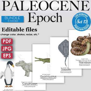 Preview of Paleocene Epoch Colorful Bundle: Stingray, Early mammal, The largest snake...