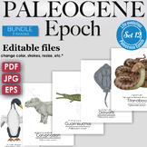 Paleocene Epoch Colorful Bundle: Stingray, Early mammal, T