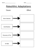 Paleolithic Adaptations: Cause & Effect