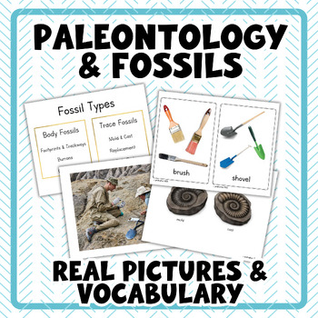 Preview of Paleontology Vocabulary Flashcards | Tools & Equipment & Fossil Information