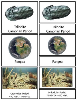 Preview of Paleozoic Era 3 part cards