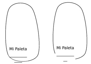 Preview of Paleta popsicle ice cream Spanish activity elementary grades summer activity