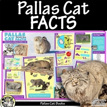 Preview of PALLAS CAT Facts Handout