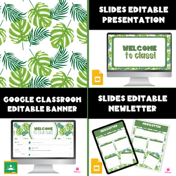 Preview of Palm Leaf Slides Templates | Palm Leaf Newsletter | Palm Leaf Headers 3 in 1