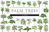 Palm Trees Art, Tropical Palms Illustrations, Beach Decor,