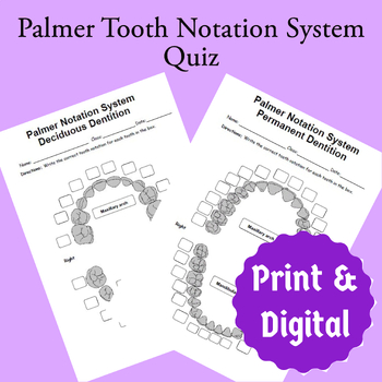 Preview of Palmer Notation System Quiz