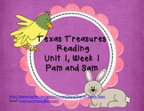 Pam and Sam Reading Activities - Texas Treasures