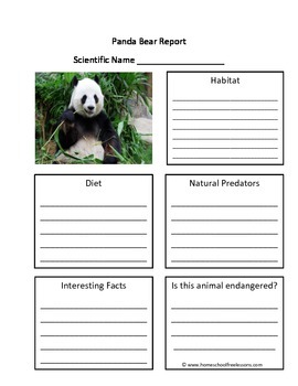panda report animal bear blank fill