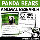 Panda Bears Research Reading and Writing | Animal Research Report