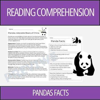 Preview of Panda Facts - Reading Comprehension Activity | 2nd Grade & 3rd Grade