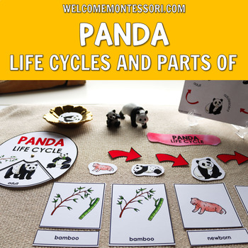 Preview of Montessori Panda Life Cycle and Parts of a Panda with Felt Puzzle
