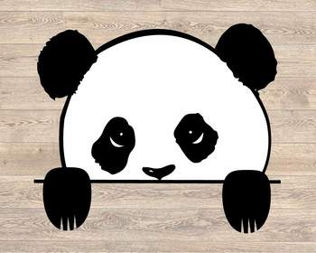 Download Panda Peeking Svg Peek A Boo Bear Kid Peek A Boo Svg 958s By Hamhamart