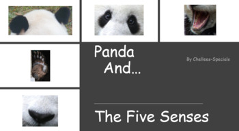 Preview of Panda and the Five Senses
