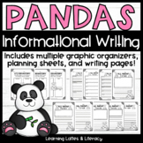 Pandas Informational Writing Animal Research Bears Graphic