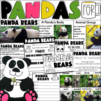 Preview of Pandas Nonfiction Book Informational Text Comprehension Panda Bear Report
