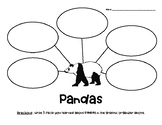 Pandas Nonfiction Graphic Organizer