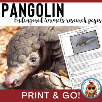 Preview of Pangolin | Endangered Animal information research page for animal report