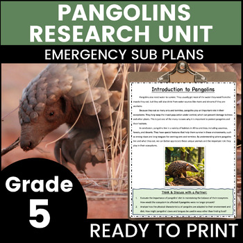 Preview of Pangolins 5th Grade Emergency Sub Plans Math English Science Substitute Binder