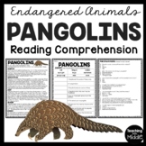 Pangolins Informational Text Reading Comprehension Workshe