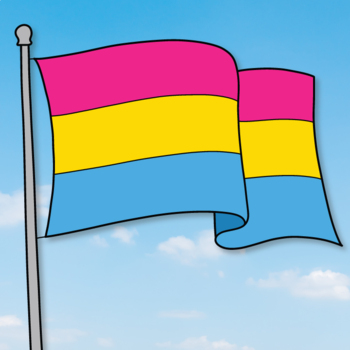 Pan Pride Flag