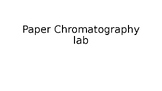 Paper Chromatography Lab with handout and photos