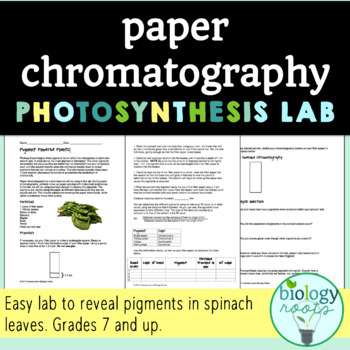 Preview of Paper Chromatography Lab- Pigment Powered Plants!