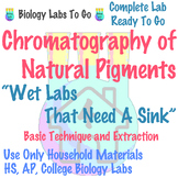 Paper Chromatography of Anthocyanin Pigments - Biology Labs To Go