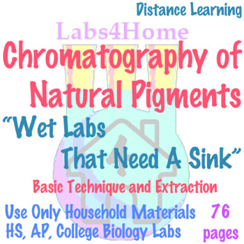 Preview of Chromatography of Natural Pigments: Basic Biology Lab Technique