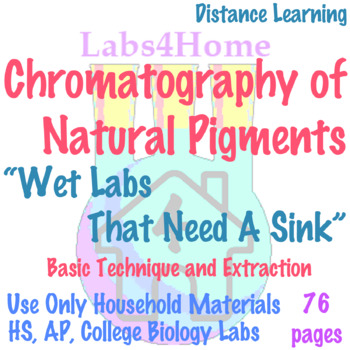 Preview of Labs4Home Chromatography of Natural Pigments: Anthocyanins