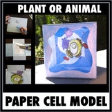 Cell Model - Printable Pattern For A 3-D Free-Standing Pap