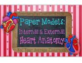 Paper Models Internal External Anatomy of the Heart Bookle