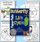 Paper Plate Butterfly Life Cycle