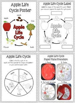 Life Cycles by Clever Classroom | Teachers Pay Teachers