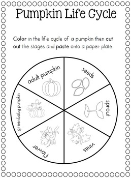 Pumpkin Life Cycle by Clever Classroom | Teachers Pay Teachers