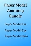 Paper models bundle: ear, eye, skin