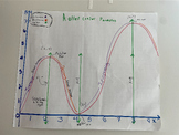 Parabolas and Roller Coasters! Design Activity