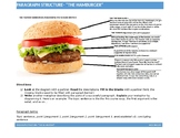 Paragraph Structure- "The Tastiest Hamburger" Worksheet
