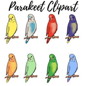 Preview of Parakeet Clipart, Bird Clipart ||Mrs C'c Digital Art