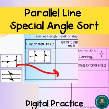 Preview of Parallel Line Special Angle Sort
