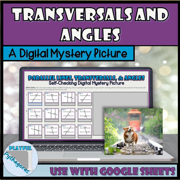 Preview of Parallel Lines, Transversals and Angles Self-Checking Digital Activity