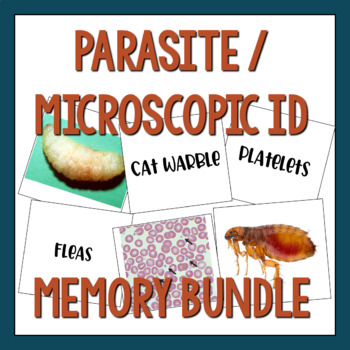 Preview of Vet Science Parasite & Microscopic Memory Matching Game