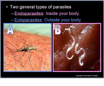 Preview of Parasites Lesson